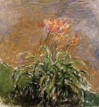 Hamerocallis Claude Monet Impressionism Flowers